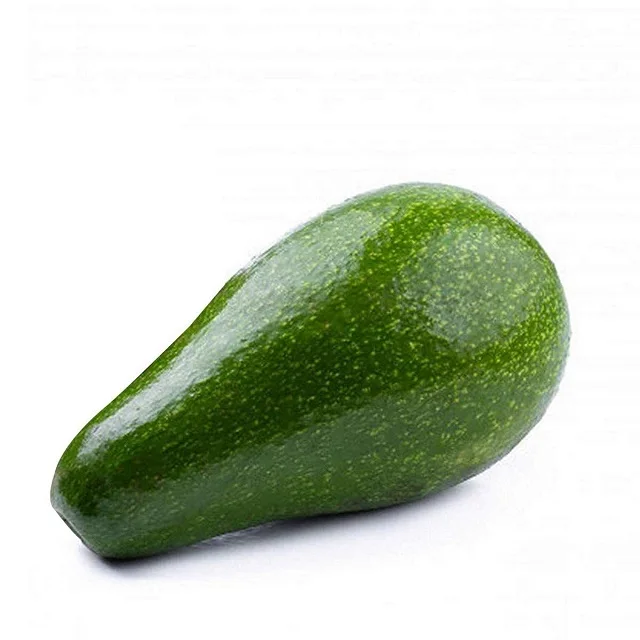 Hot Sale Fresh Avocado / Hass Avocado, Fuerte Avocado For Sale