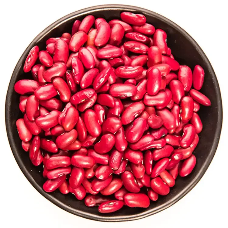 Non-GMO High Grade Natural Bulk Dried Red Kidney Beans