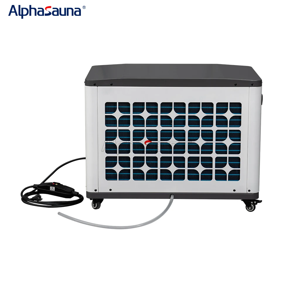Cold Plunge 0.7 Hp With Light Luxury Hot and Pool Chiller Wi-Fi Control Independent App Remote Optional