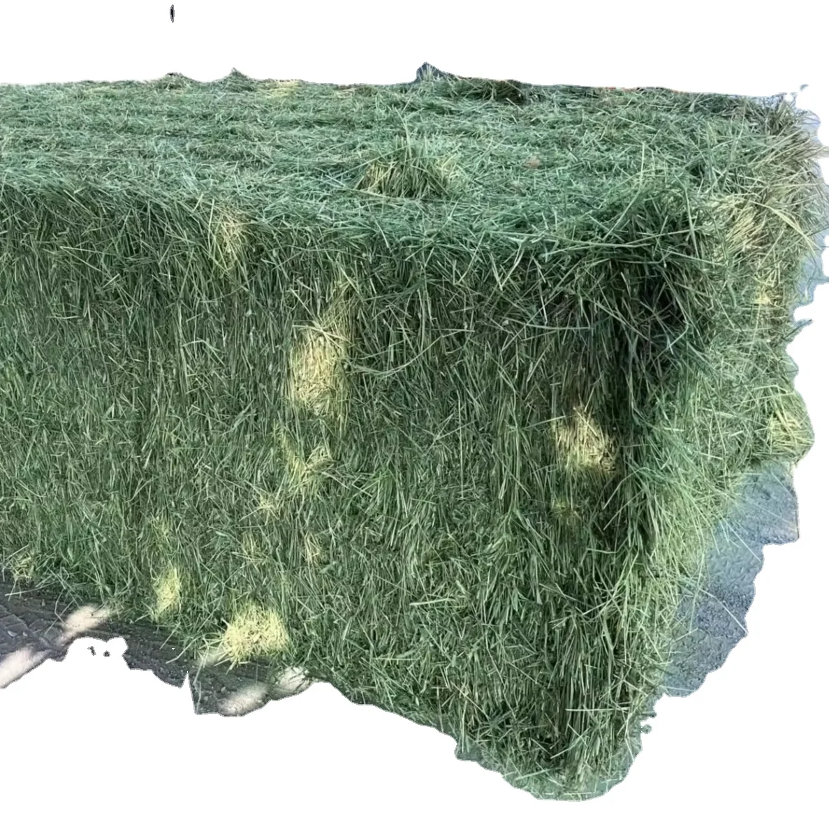 Высококачественная Люцерна для корма для животных/Сено Люцерны из Испания на экспорт