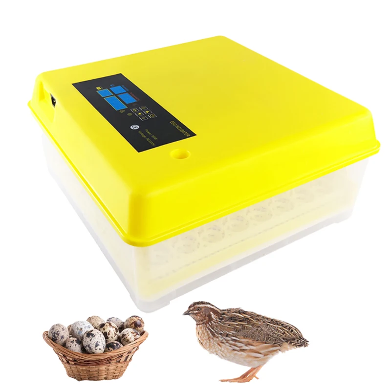 112 Eggs 12V 220V Incubator Full Automatic Chicken Egg Incubator Hatcher Egg Incubator For Sale In Uae