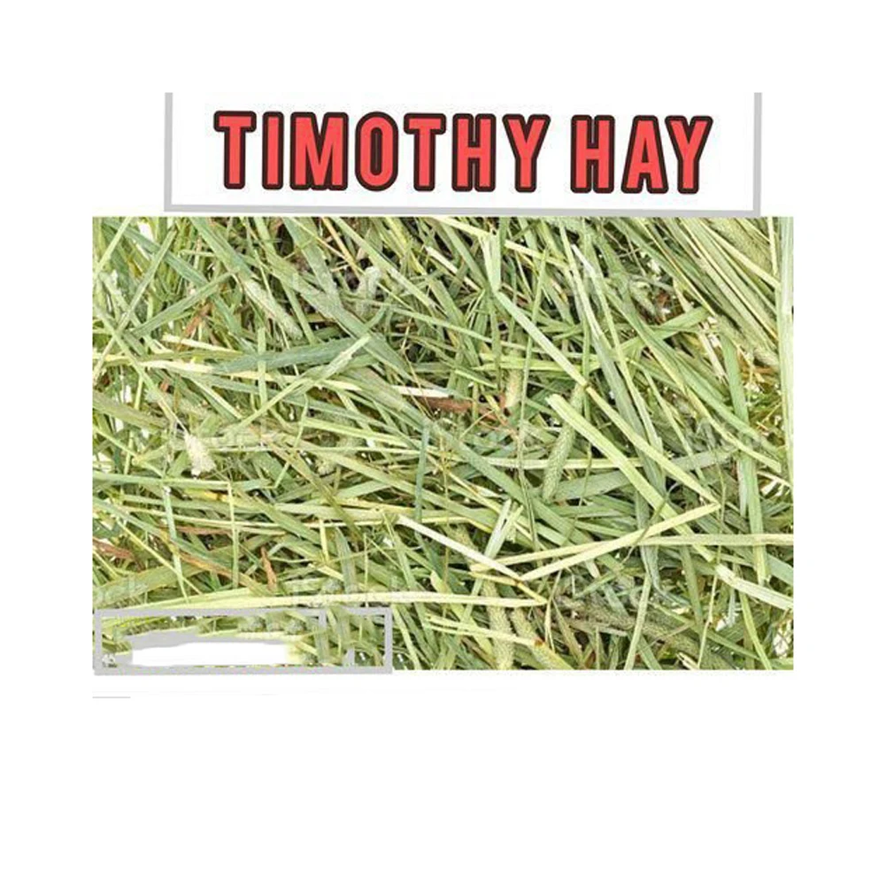 Alfafa СЕНО для кормления животных люцерны Сено/люцерны сено гранулы Timothy Сено/Alfafa в тюках высшего качества