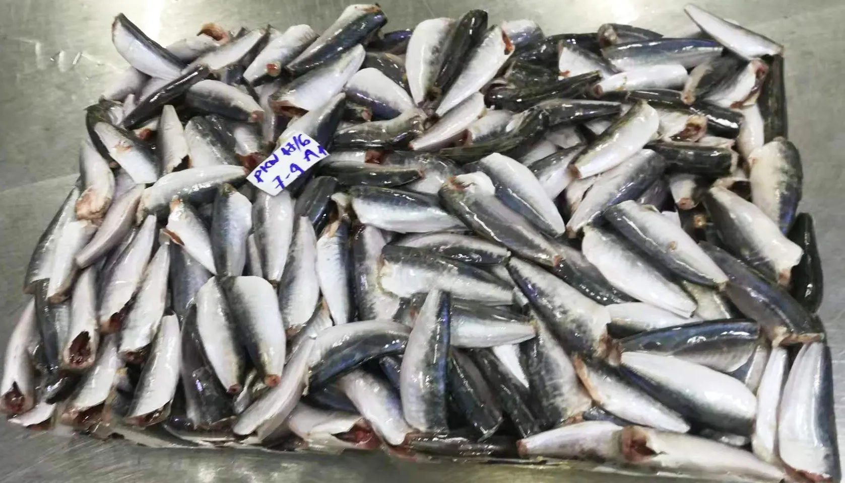 High Quality Ingredient Whole Part Body Manufacture Seafood frozen fish prices Round Scad HGT from Vietnam
