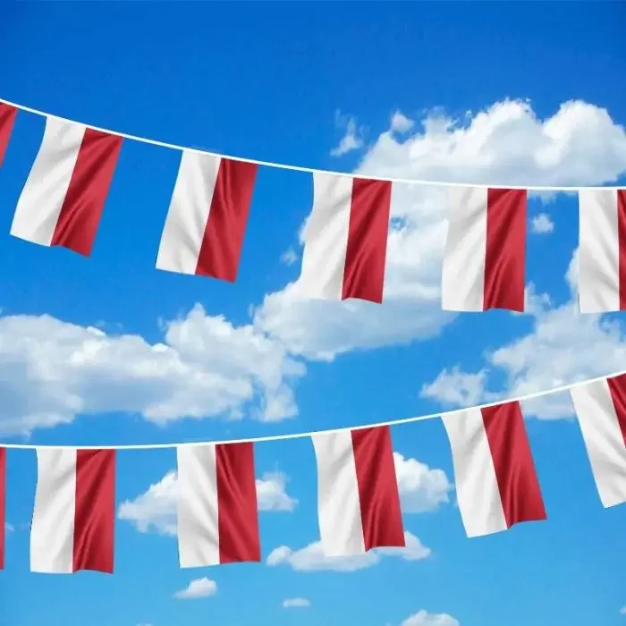 Custom Polyester Rectangle Triangle String Indonesia Bunting String Flags for Football Soccer World Competition
