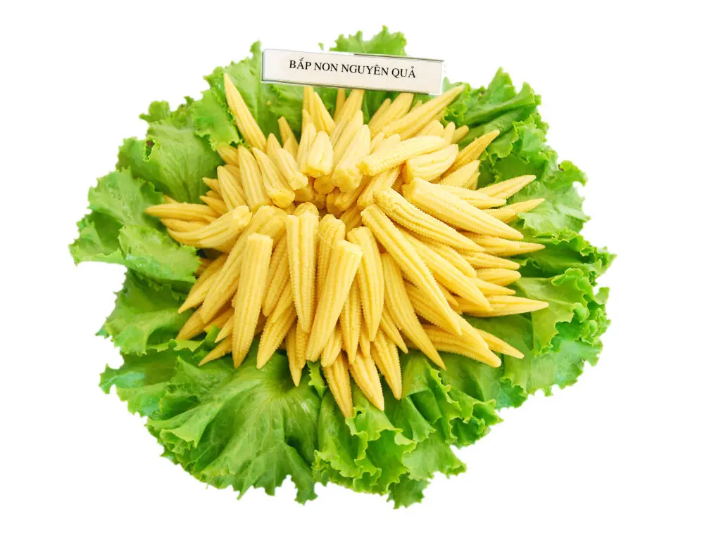 BEST QUALITY BABY CORN CAN FROM VIETNAM!!! SUPER FRESH CORN 100% NATURAL GOOD FOOD FOR YOU