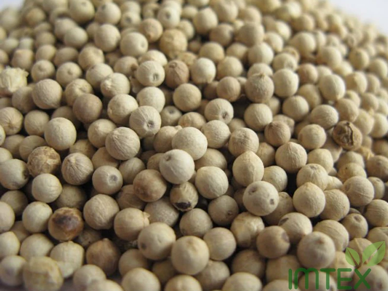 White pepper 630 G/L Double Washed single spice and herbs Vietnam manufacture original Seasonings