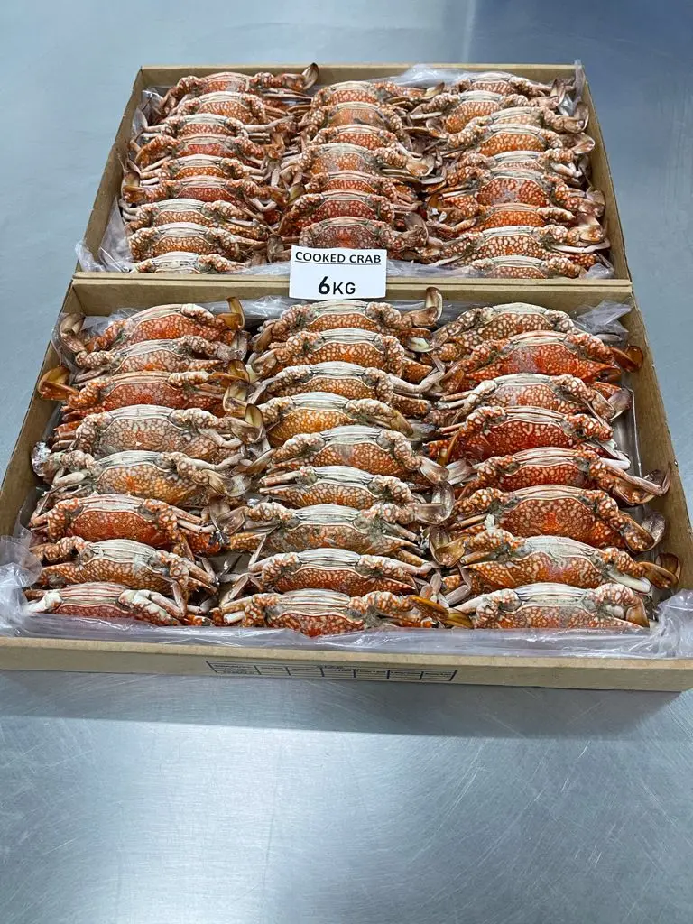 ATTRACTIVE PRICE OF TUNISIAN ORIGIN TOP QUALITY FROZEN COOKED WHOLE CRAB FREEZING BY NITROGEN FREEZER