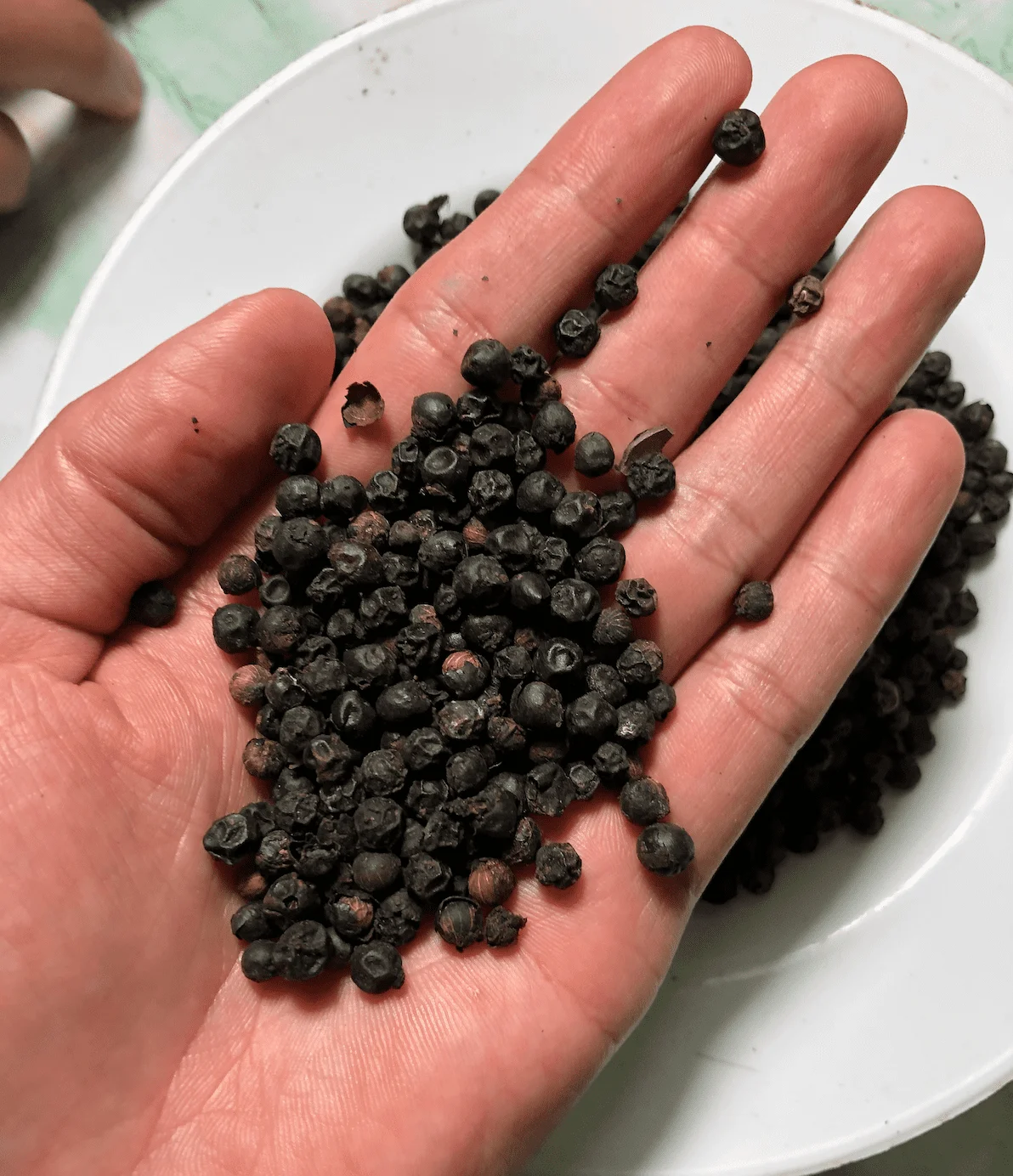 Best Quality Malonan White Pepper and Black Pepper High Peperin Index Bulk Style Packing Plastic 50Kg From Indonesia