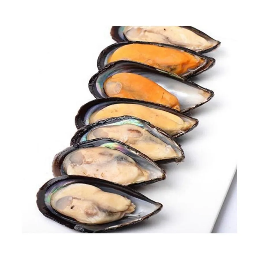 Deep Freezing Cold Shellfish Well Cooked Blue Mussel 2/2 Shell Catch Fresh Out Of Sea