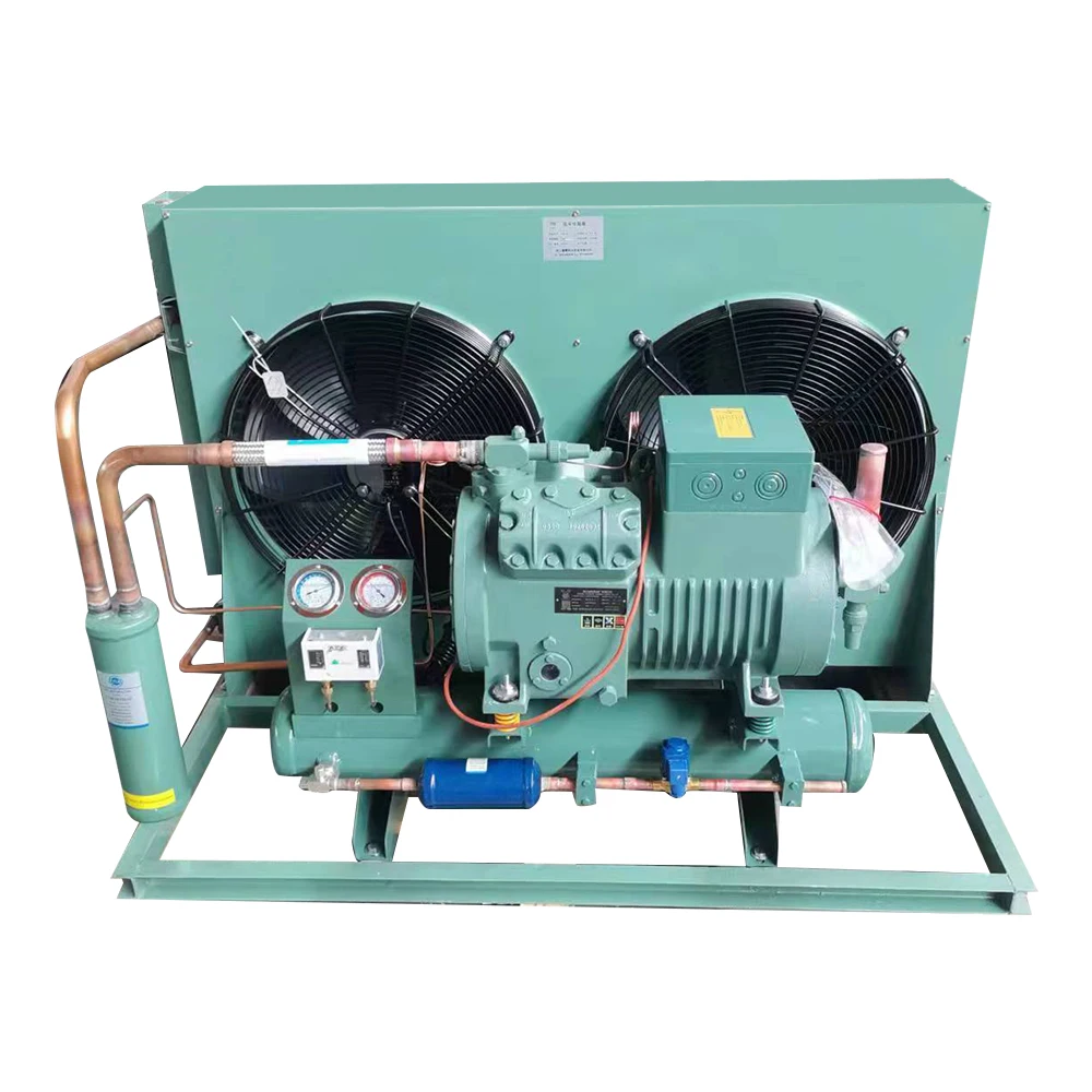 1hp 2hp 3hp 4hp 5hp 6hp 10hp 15hp 20hp Air Cooled Refrigeration Unit with Bitzer Compressor Condensing Units For Cold Room