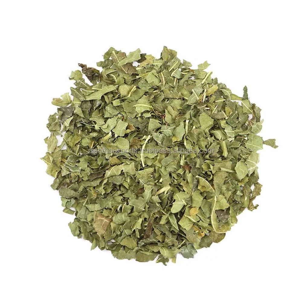 Mulberries Leaves Kalpa Vruksha leaves Mulberry Leaf Kalpvraksha Patti Dried Raw Herbs Plant Extract Herbal Product