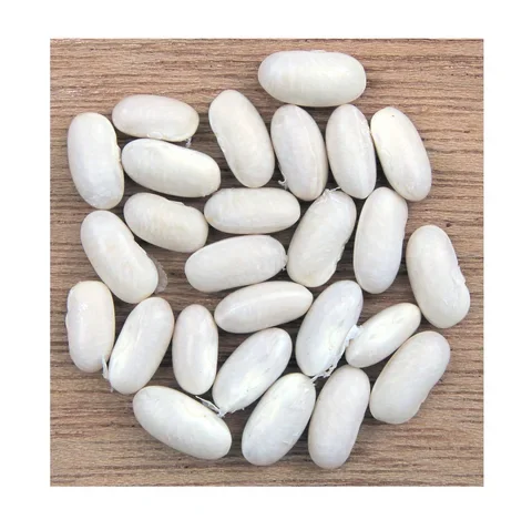 Wholesale Price Natural White Kidney Beans
