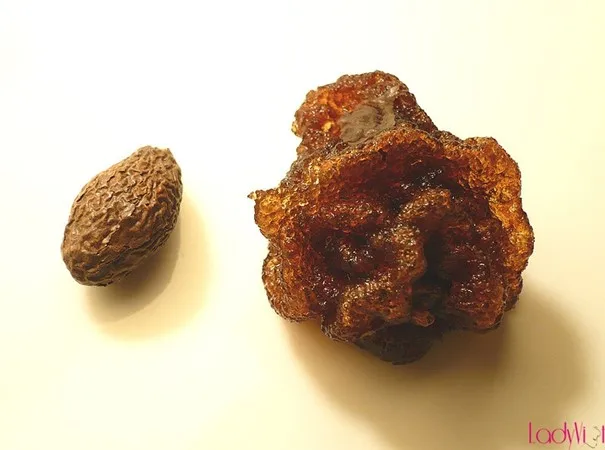 Taiwan Sweet Gum improves digestion good health beauty high profit