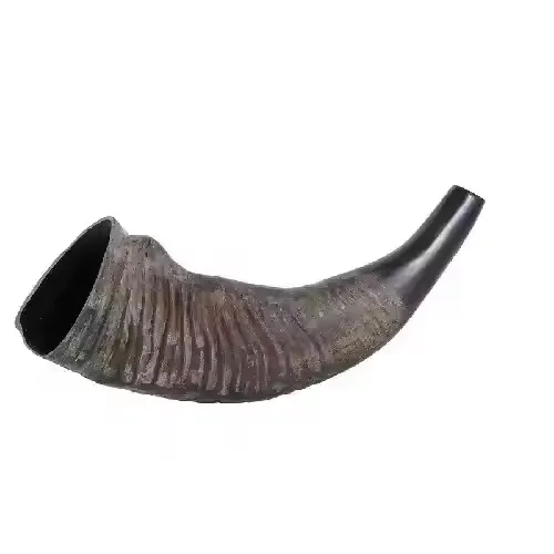 Natural High Quality Horn Classic Sounding Wholesale Battle Sound Cattle Blowing Horn with leather strip
