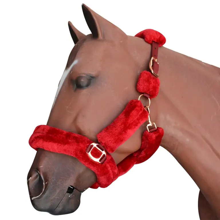 horse equipment bridle equine products horse halter turnout horse accessories bridle yellow nylon halter