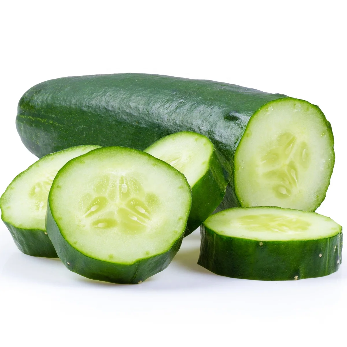 Fresh organic dried best quality cucumber