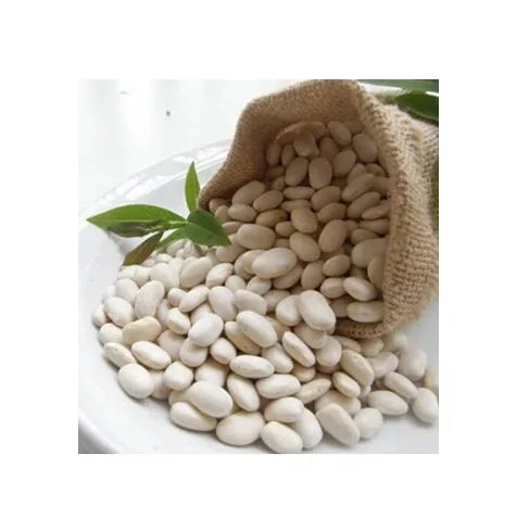 Buy High quality 100% natural white kidney beans 200-220  for export/ best quality white Kidney Beans