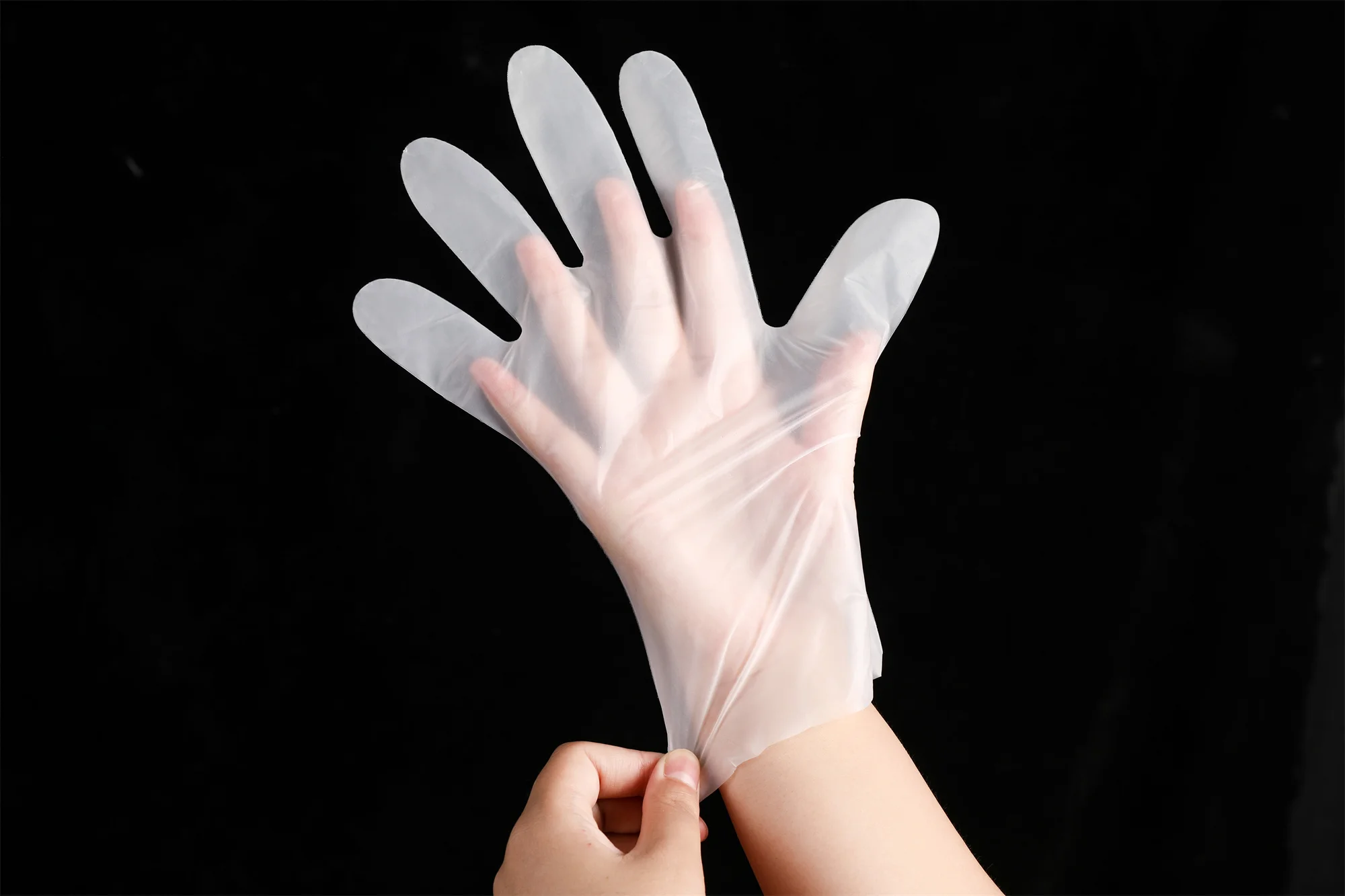 Wholesale Hand Glove Equipment Boxed Tpe Food Service Gloves  food industry glove