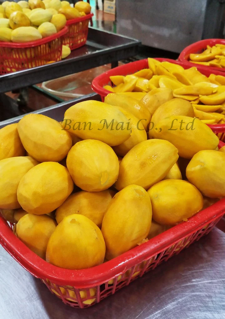 VIETNAM CANNED KAEW MANGO SLICES PULP IN LIGHT SYRUP A10 TINS, CHOICE QUALITY, YELLOW COLOR, OEM PACKING FROM OWN MANUFACTURER