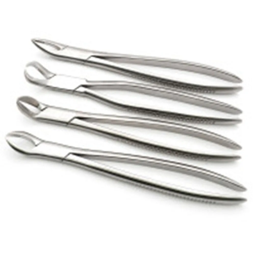 Growing Tooth Forceps Forged Stainless Steel horse Equine dental
