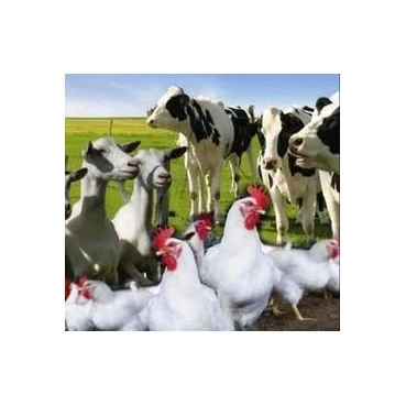 Cow Cow Goat Supplement Sheep Booster Supplier 1kg Mix 1000kg Complete Feed Animal Feed