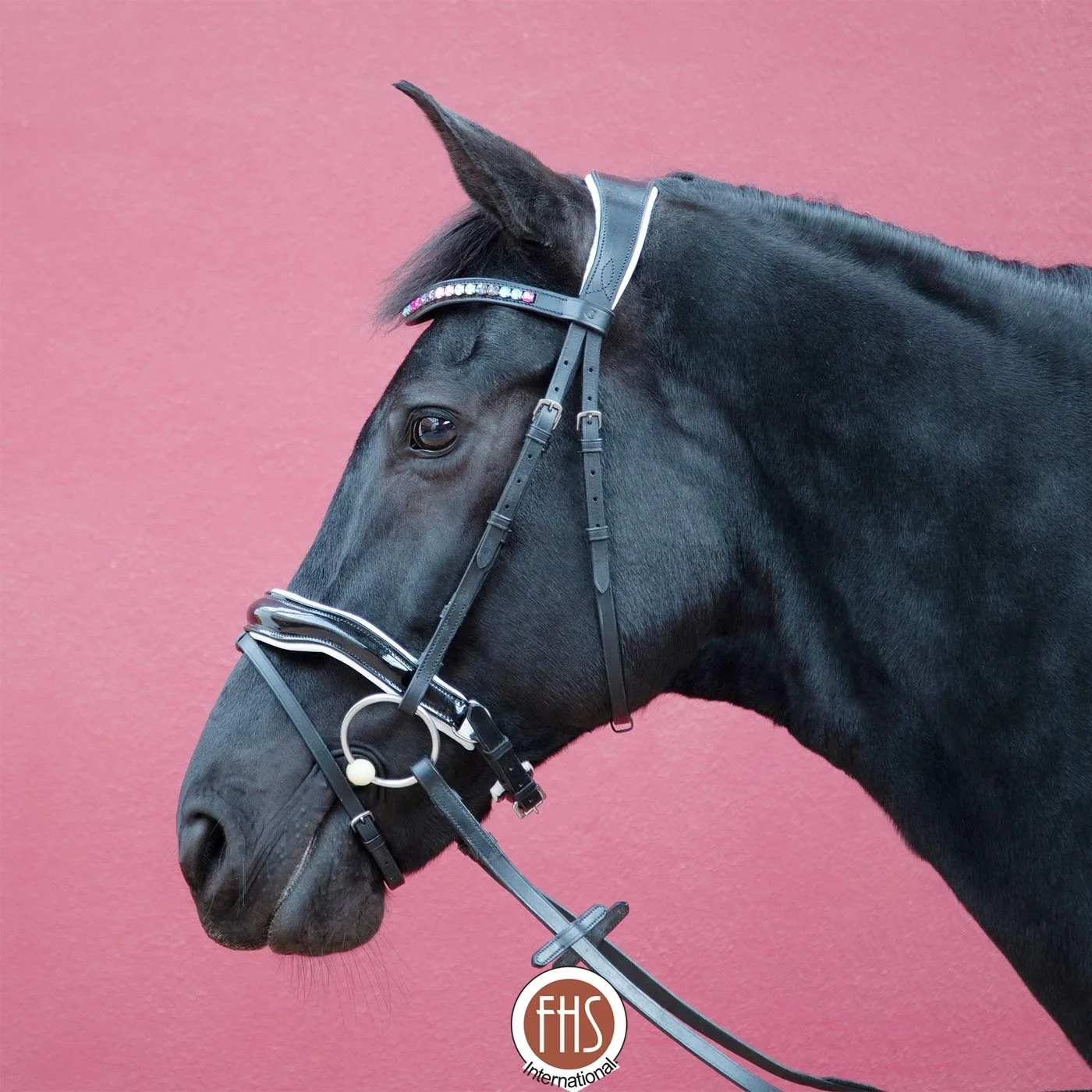 Best Quality Anatomic Leather Bridle Patent Leather Noseband and Multi Colour Wave Brow band