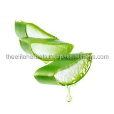 High Quality Aloe Ferox Mill Aloe Vera Extract Aloin powder