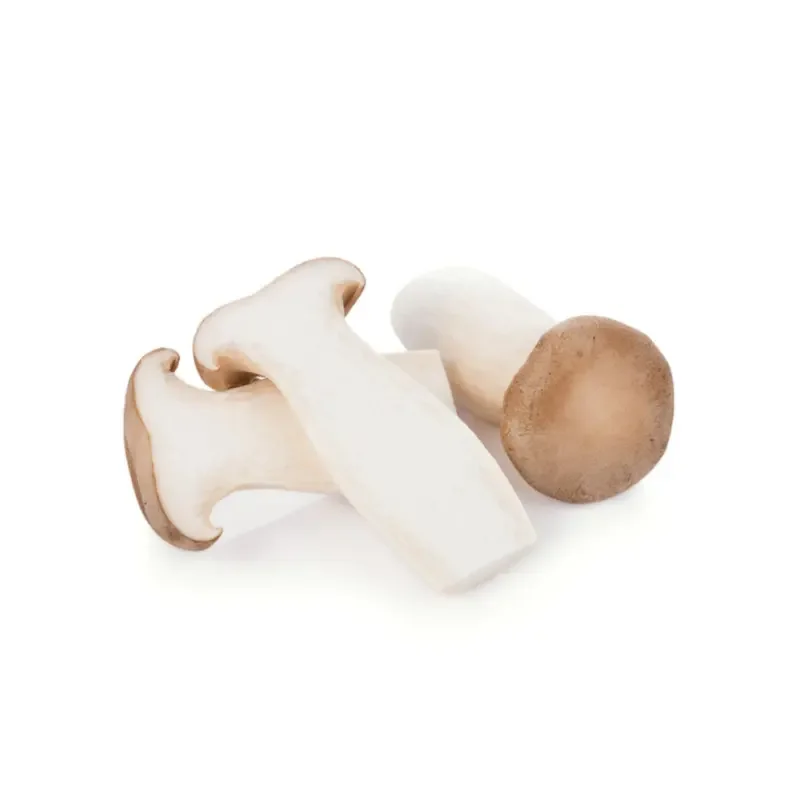 White Mushroom