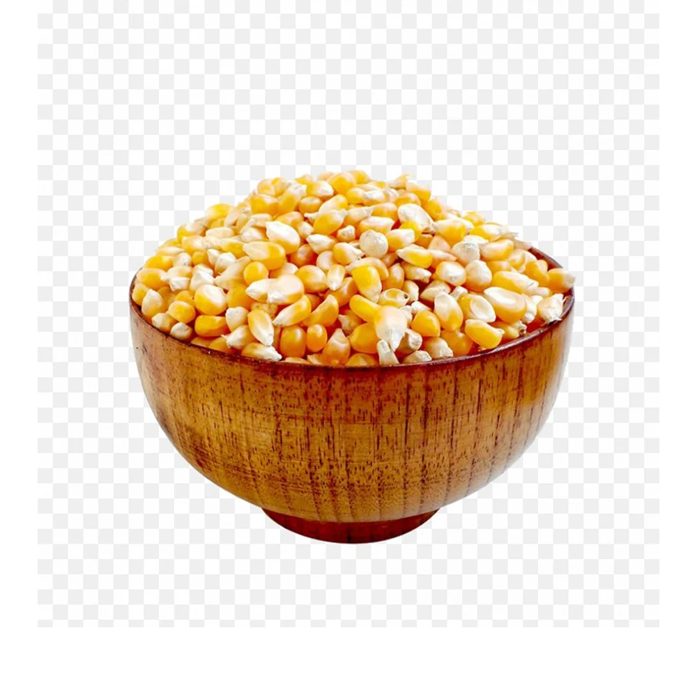 Indian Manufacturer Organic Animal Feed Yellow Corn Maize for Human Consumption Available At Good Price