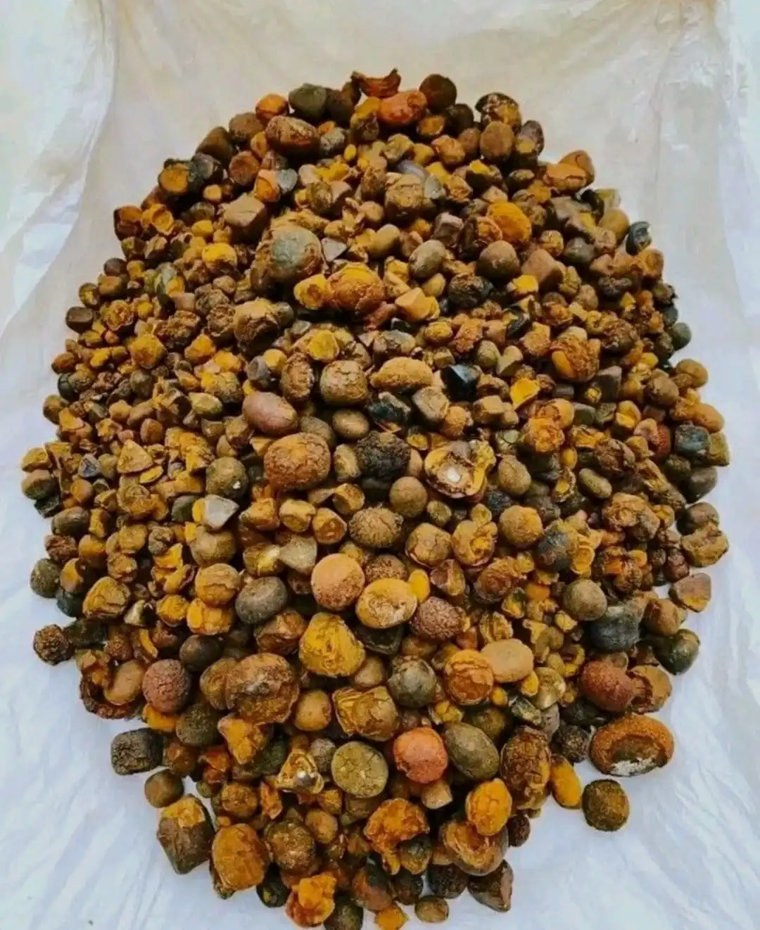 Quality Dried Cow Ox Gallstones | Cattle Gallstones| Cow Gallstones and Bezoar