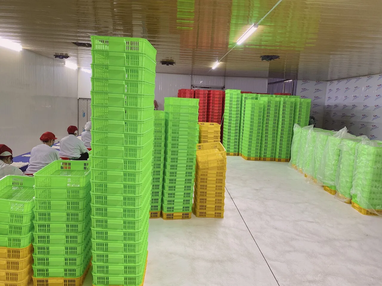 Food dry vermice instant noodles  rice and salt food  fresh food from hai duong viet nam