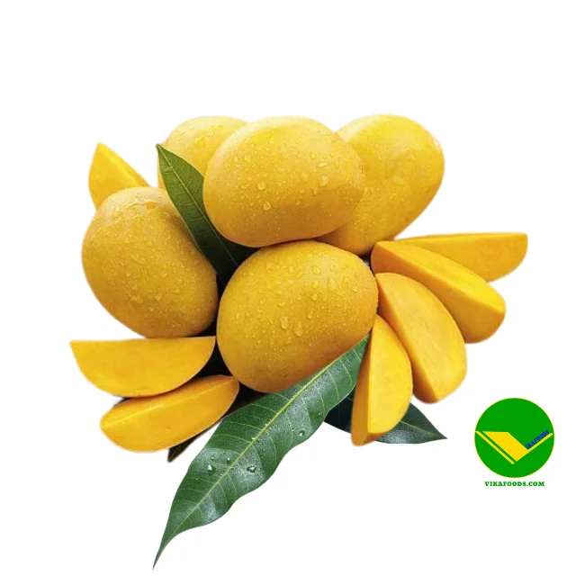 Fresh Mango from vietnam Nutritional Solution with Distinctive Flavor and Convenience for Importers