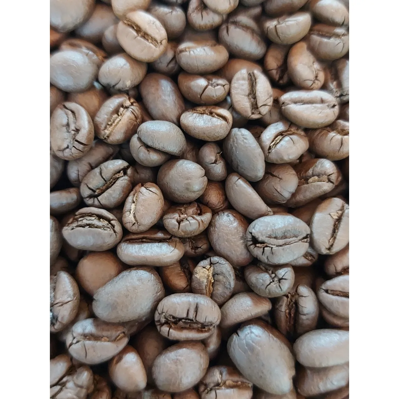 Vietnam Supplier Robusta Honey S18 Roasted Carpentry Coffee Beans High Quality Medium Roast