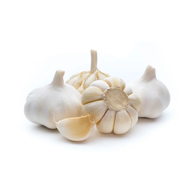 Top Quality Garlic Used As A Seasoning For Dishes 100% Dried Garlic Organic Packed In Box Vietnam Manufacturer