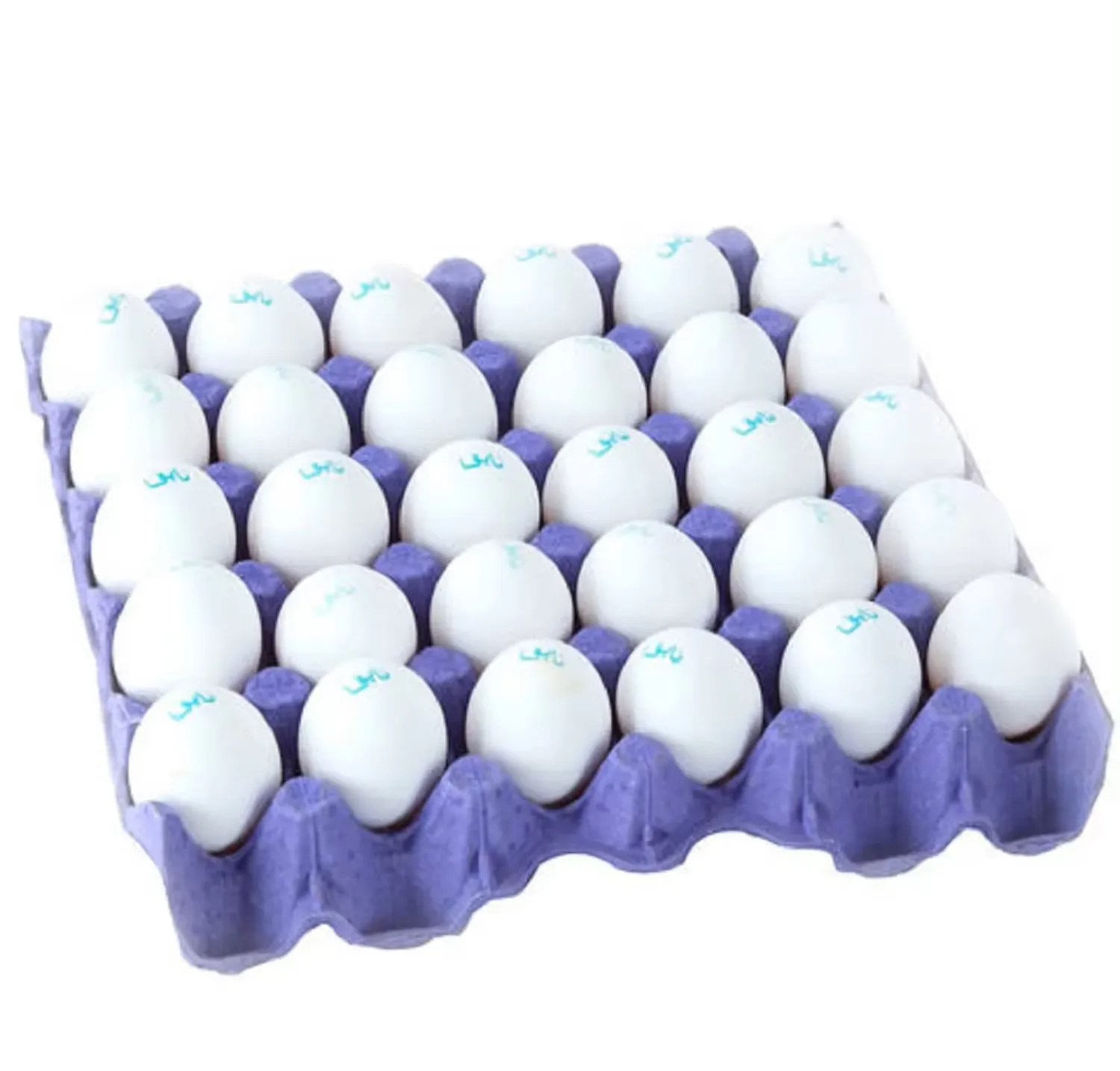 Оптовая продажа лучшее качество свежие куриные яйца для фермы дешевые фермерские столовые Бразильская ферма