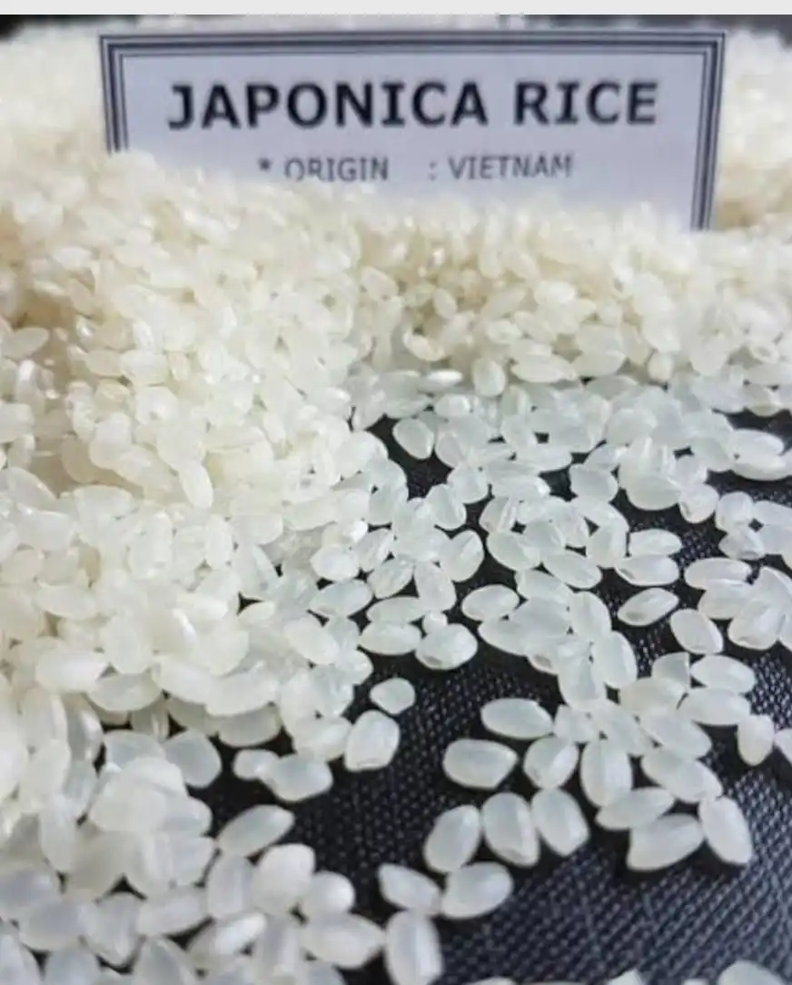 Premium Quality Japonica Round rice from Vietnam