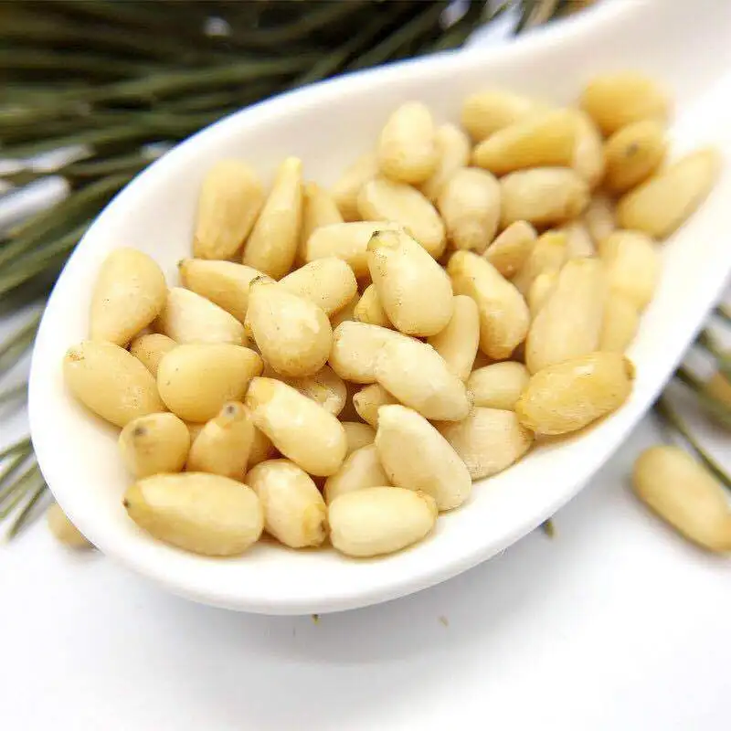 Afghan Pine Nuts Best Pine Nuts For Sale