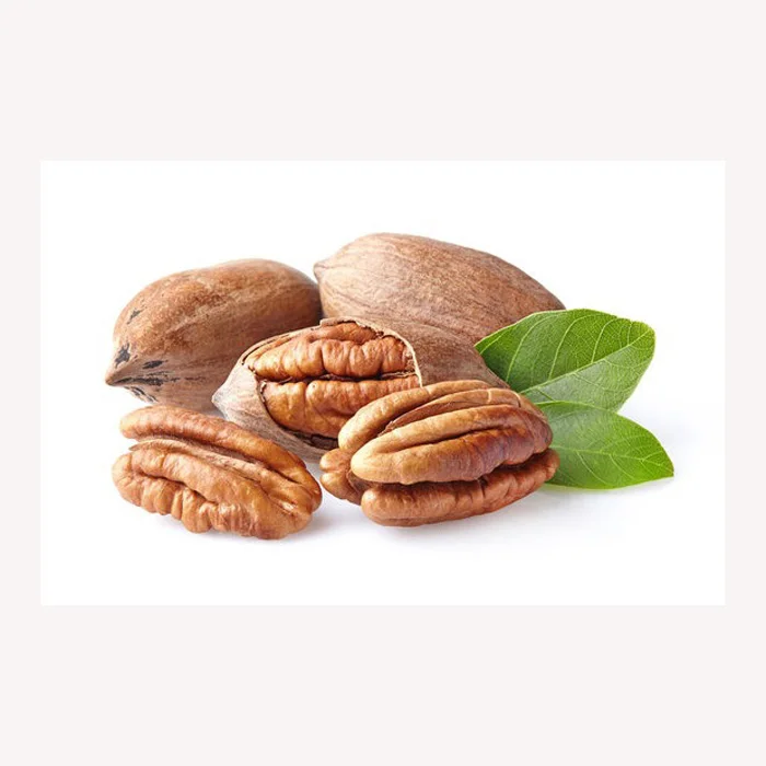 Factory supply top grade low prices dried pecan nuts salt flavor natural salt baked pecans available stock nuts and dried fruits