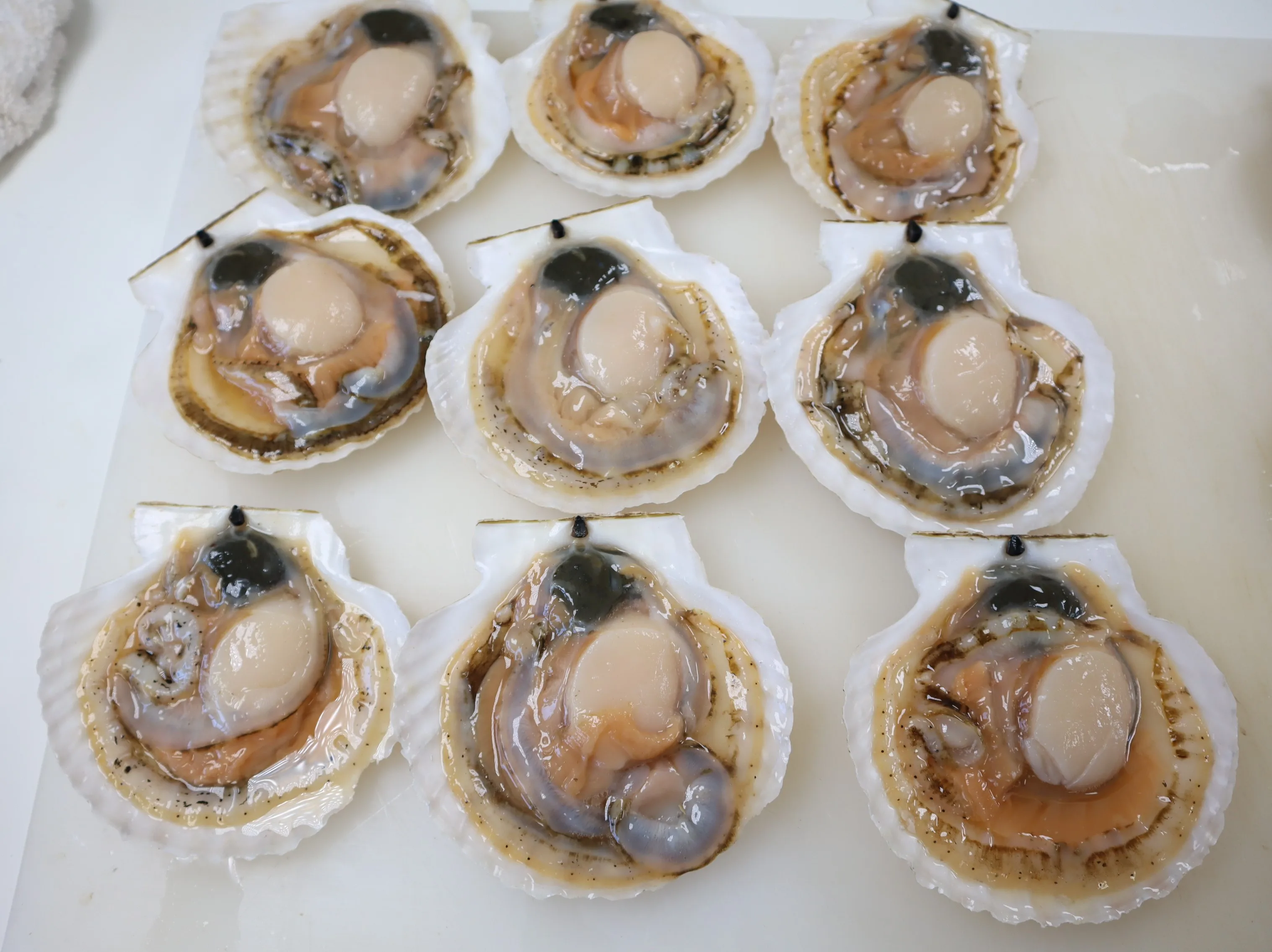 Japanese Large Shell Meat Price Seafood Supplier Dry Frozen Scallop