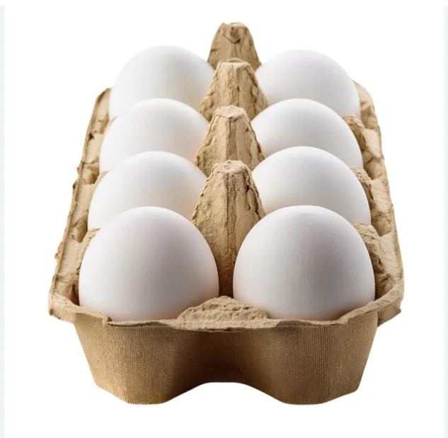 Fresh Farm Chicken Eggs White and Brown Eggs Best Price Fast Shipping In Stock For Sale