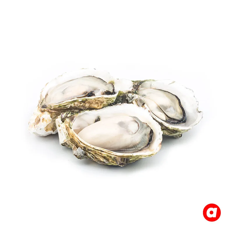 Premium Grade 18 Months Shelf Life Half Shell Oyster Wholesale Frozen Oyster Origin From Malaysia