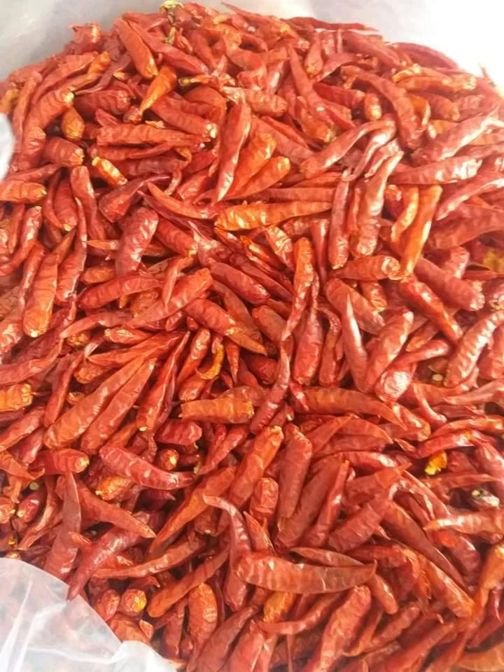 Vietnamese Brand Cooking Recipe Organic Natural Spice Ingredients Dried Red Chili For Cooking And Culinary