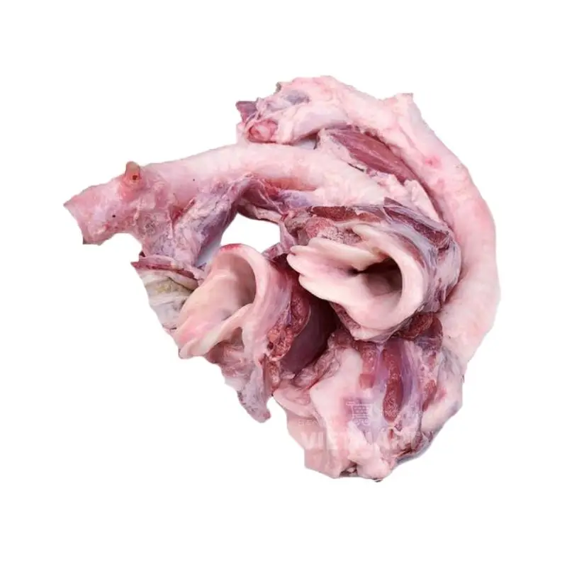 Frozen Pork Ears/Frozen Pork Intestine , Frozen Pork Meat/Pork Tongue