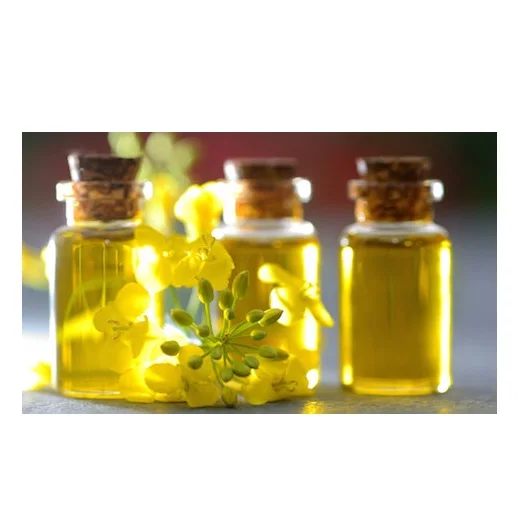 Cheap Wholesale Top Quality Refined Rapeseed Oil / Canola Oil / Crude rapeseed oil In Bulk