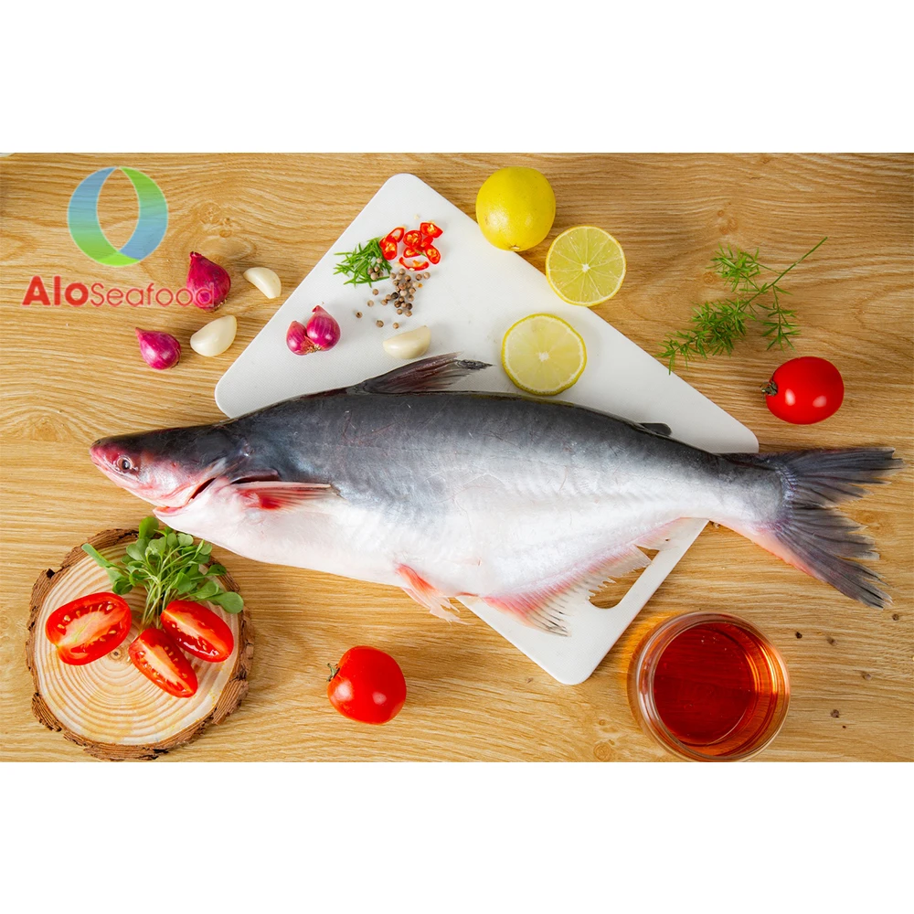 Best Price IQF Whole Round Pangasius Fish With Weight 10kg And Shelf Life 24 Months From Vietnam