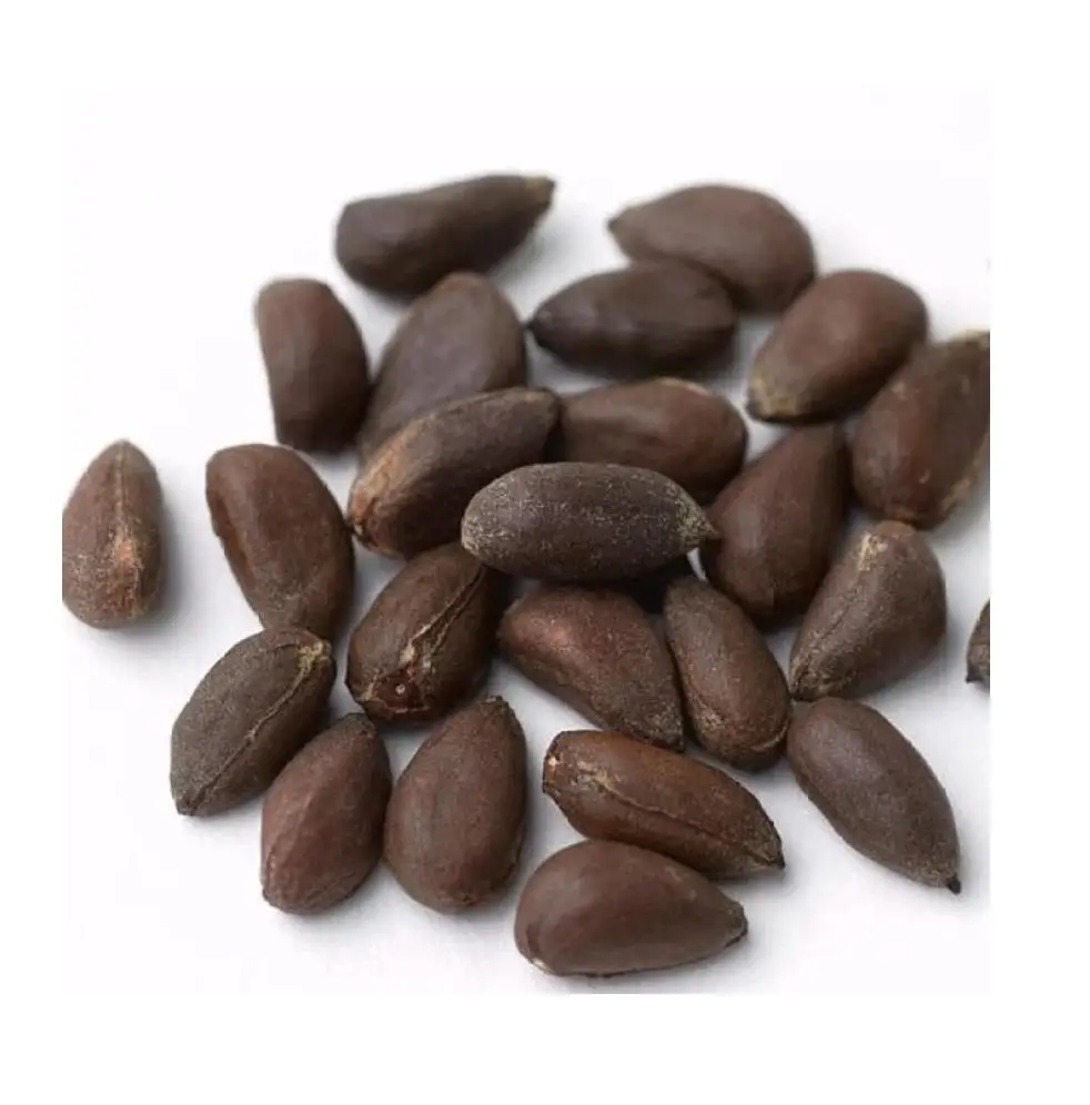 Best Quality Cotton Seed Raw Cotton At Affordable Price