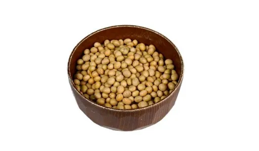 A7304429 copy-512x299.jpg