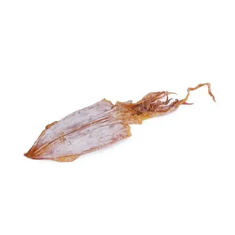 Best Dried Cuttlefish Bone Made In Vietnam High Quality Supplier 100% Natural Wholesale Seafood Dried Cuttlefish Bones