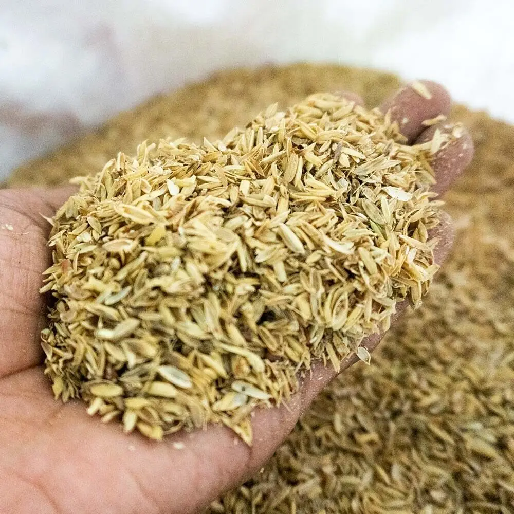 Exporting cheap price Raw rice husk for sale