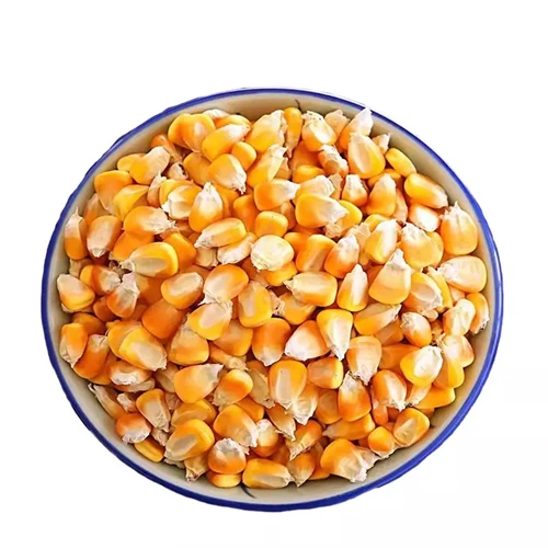 Желтая Кукуруза без ГМО, подходит для человеческого потребления и корма для животных, Бразильская Желтая Кукуруза для кормления птицы